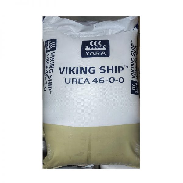 VIKING SHIP